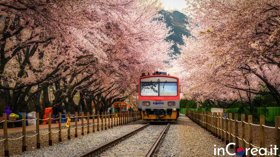 Korail Pass: tutto sull'abbonamento turistico per viaggiare in treno in Corea del Sud.